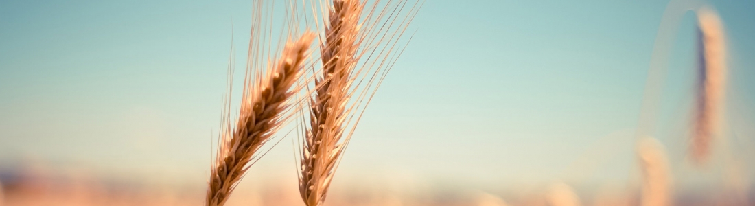 Détecter soi-même une intolérance alimentaire (French only)